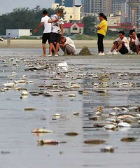 ���Σ����������ִ������㣬���ӽ�4�����Ӧ����