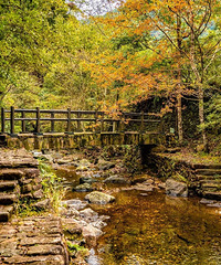 �������йȾ��������԰��9��12�ջָ�����