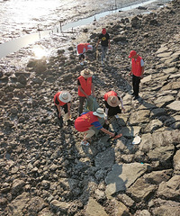 ��������ս