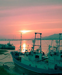 ������̨���ٹ⡿+�����ϼ