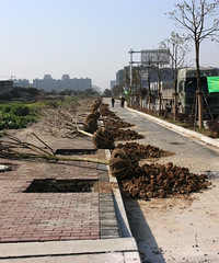 2012���ѧԺ·�����������׸�������������