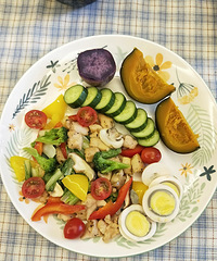 ææµµ�������ζ��ʳ����ܰ�������