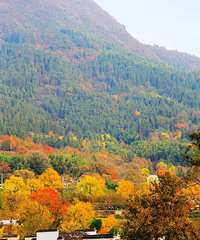 ��30����Ƭ����������һ��Ҫȥ���е�ȫ�����ɣ�