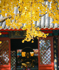 ��30����Ƭ����������һ��Ҫȥ���е�ȫ�����ɣ�