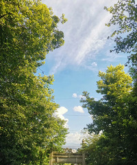 ������̨���ٹ⡿���Ƹ�����ϼ