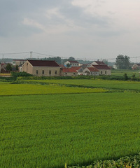 �����㽭��ɽһˮ����������ձ�ƽԭ���