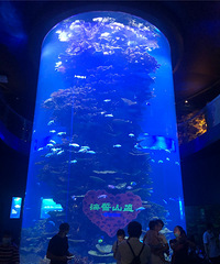 ���ൺ��ơ�ƣ��������������������