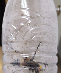 �·��㽭������ʮ�����գ�70������23�˱�������ҽ��