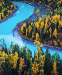 ��Ʊ�Ǽۣ��Ƶ궩���ˣ���ʮһ�����ڣ���Щ����������