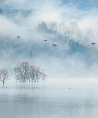 9-12�������嵥��Ƿ�Լ������иû���