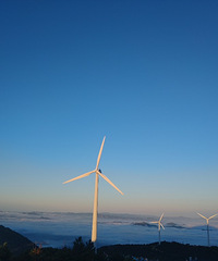 ������̨���ٹ⡿ɽ��