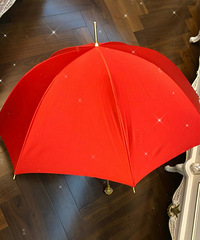 ��������ⲻ�ǻ�ɡ�����Ǳ�������Ȩ��