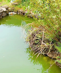 ������̨���ٹ⡿�޴����羰