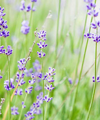 �ٺ�GG����172���з��г��޾��ø�������84-90���Ů��