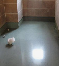 ������ˮˢ���飿ˢ���˻᲻��©ˮ��