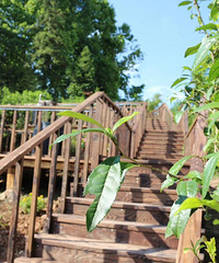 ������������ƶ�������һ���������˼䡱��