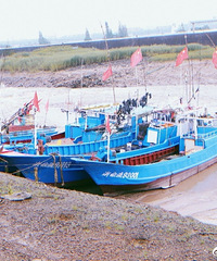 ������̨���ٹ⡿+����ɫ��