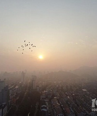 ���۸��᡿���һ����Ƿծ50��û����������ô����