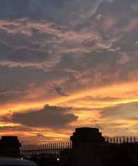 �����������ٹ⡿+��������������ϼ