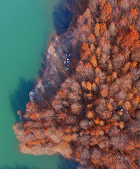 ������̨���ٹ⡿���ܴ�������