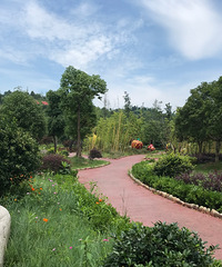 ������̨���ٹ⡿�������