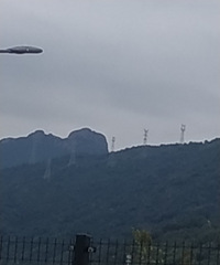 Ѱ��̽�Ĵ��޵���Ϫ�ŵ�Ѿ����