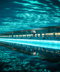 ������̨���ٹ⡿�����Ĺ���Ӱ