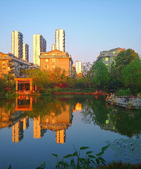 ������̨���ٹ⡿+��ɫ����