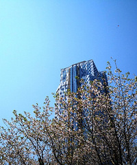 ������̨���ٹ⡿+��Ĩ��ɫ