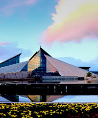 ̨����ר��������ȥ�½����������Σ�ÿ�˲���1000Ԫ