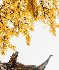 һ������ݾͳ��˹���