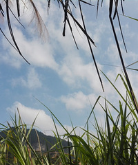 ������̨���ٹ⡿