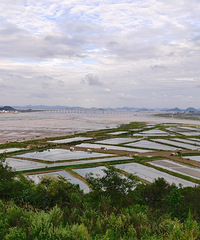 ��ĥʱ�⣬�й��������-��ͷ��