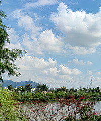 ������̨���ٹ⡿��ľ����-20200921-������-�̵�