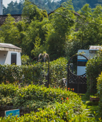 ���������ˣ����������Ľ��ϴ�����