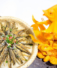 ������������8�죡���������硱��������������