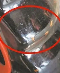知名品牌酱油出事了,太恶心!很多人都买过...