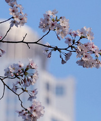 ������̨���ٹ⡿+����㳡����