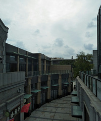 ��ʢ¥�ϣ���֪���ġ�Ʒ�Ƶ�����������ô��