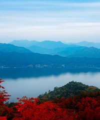 ������̨���ٹ⡿+������̶