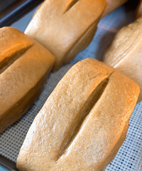 ���ǵ�����ͷ����Ʒ���ǲ�����