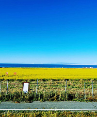 �������8���Σ��羰��������������