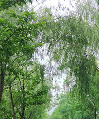 ������̨���ٹ⡿�ؽ�����-20200525-������-�̵�(++)