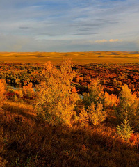 9��10����;�������ã������������