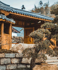 ��Ҫֻȥ�����£����ݻ�����ЩС�ھ��׵�����