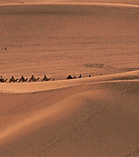 �й�ʮ������֮����еأ���ȥ��������