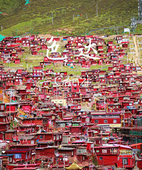 ����-ɫ��-�����Ƕ�7���Σ��ڸ�����·��