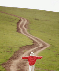 ����-ɫ��-�����Ƕ�7���Σ�������Ľ������ǰ�