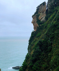 ����������µ����ܿ���ƽʱ�������ľ���