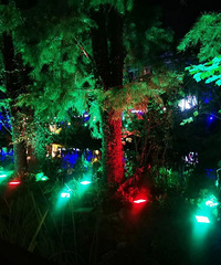 ������̨���ٹ⡿+�ͷ׶�ʵ���������+��Ȼ��ɫ��